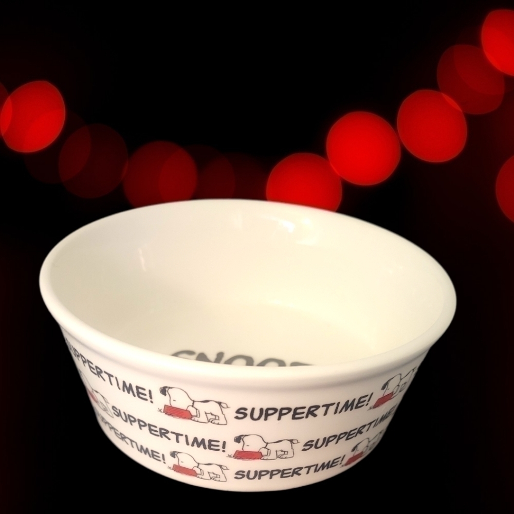 Snoopy Pet Bowl 5” Stoneware Dog Cat Food Suppertime Gibson Peanuts